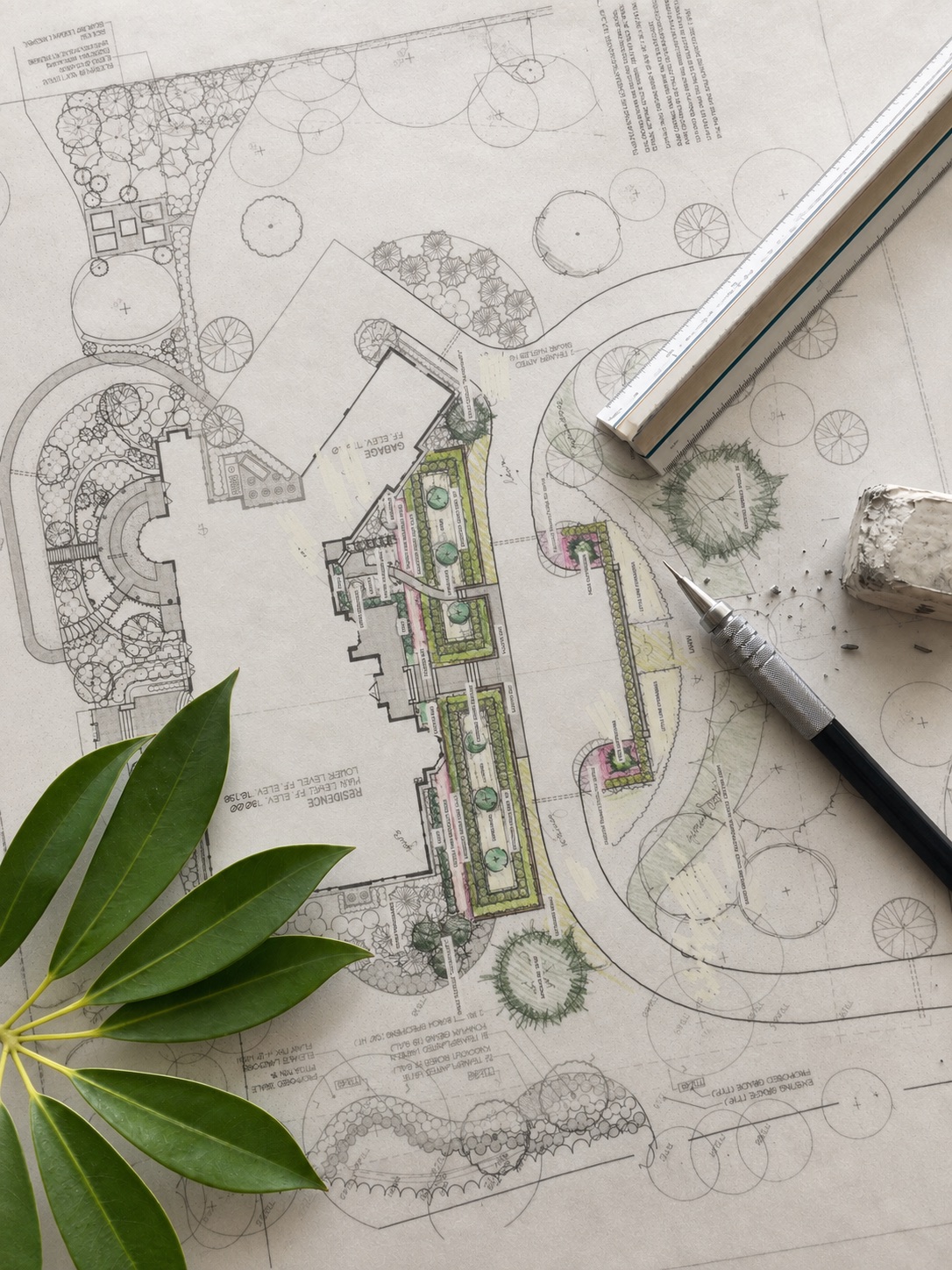 Hand-drafted color planting plan for a residence, with an architect's scale, mechanical pencil, kneaded eraser and tropical foliage